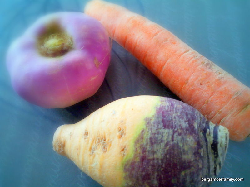 Petite Puree De Rave Violette Rutabaga Et Carotte Pour Bebe Bergamote Family