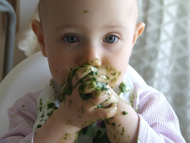 Quel Repas Du Soir Pour Bebe Bergamote Family